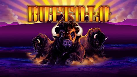 buffalo slot machine|Buffalo Slot Machine .